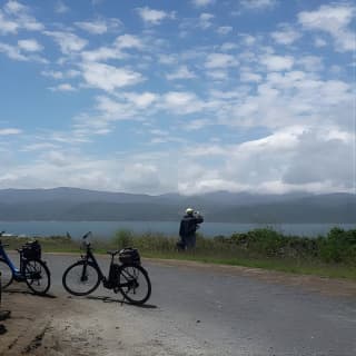 Guided Wellington Sightseeing Tour by Electric Bike