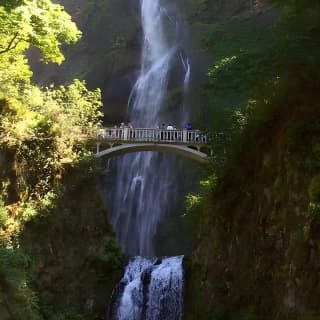 Explore Columbia River Gorge Half-Day Small-Group Tour 