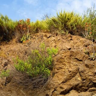 The Bronson Caves Tour