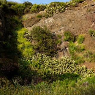 The Bronson Caves Tour