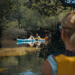 Dolphin Sanctuary Kayak Tour Adelaide