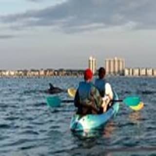 Kayak Dolphin Experience in Virginia Beach