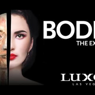 Bodies The Exhibition at the Luxor Hotel and Casino