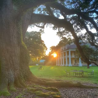 Houmas House Plantation Guided Tour