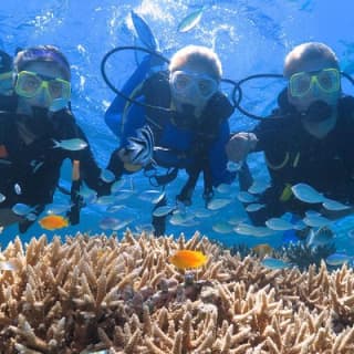 Quicksilver Great Barrier Reef Snorkel Cruise from Port Douglas