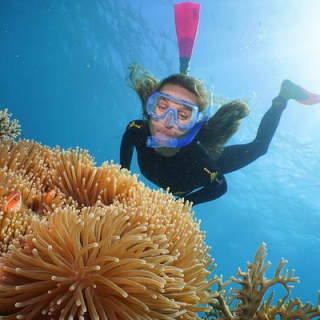 Quicksilver Great Barrier Reef Snorkel Cruise from Port Douglas