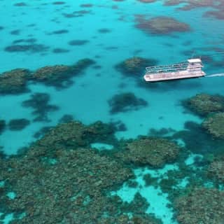 Quicksilver Great Barrier Reef Snorkel Cruise from Port Douglas