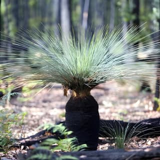 Small-Group Grampians Great Wilderness Escape Day Trip with Hiking