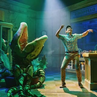 Little Shop of Horrors Off Broadway Show