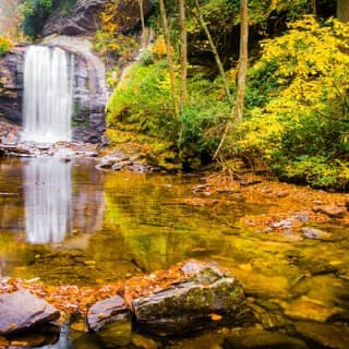 Waterfalls and Blue Ridge Parkway Hiking Tour with Expert Naturalist