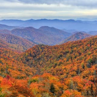 Waterfalls and Blue Ridge Parkway Hiking Tour with Expert Naturalist