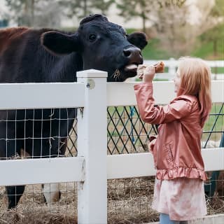 Premium Amish Country Tour including Amish Farm and House