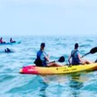 Dolphin Kayak Tour in Virginia Beach