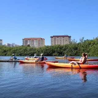 Adventure and Wildlife Watch Kayak Rentals in Sarasota