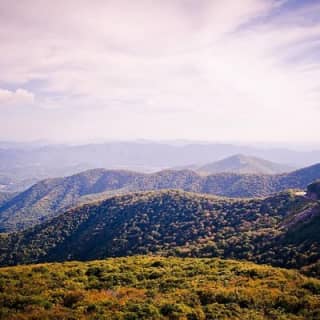 Waterfalls and Blue Ridge Parkway Hiking Tour with Expert Naturalist