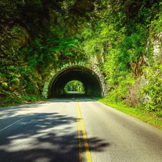 Waterfalls and Blue Ridge Parkway Hiking Tour with Expert Naturalist