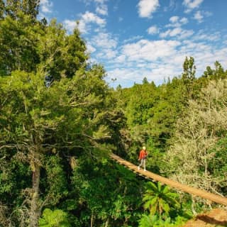 Okere Falls Zipline Experience