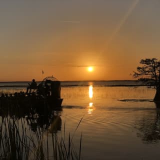 1-Hour Boggy Creek Sunset Airboat Tour