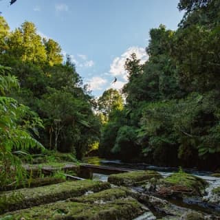 Okere Falls Zipline Experience