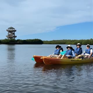 2 Hours Guided Robinson Preserve Mangrove Tour