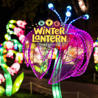 Winter Lantern Festival - Queens, New York - Tickets