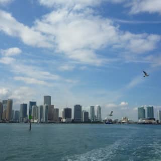 Miami: City Tour + Biscayne Bay Cruise