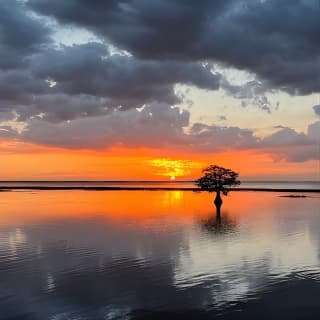 1-Hour Sunset Airboat Ride near Orlando