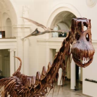 SPINOSAURUS at The Field Museum of Natural History