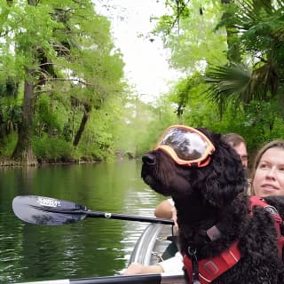 Glass Bottom Kayak Tours of Silver Springs