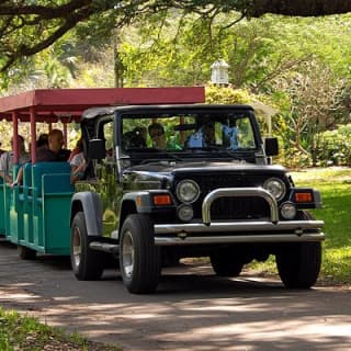 Skip the Line: Flamingo Gardens Admission Ticket in Fort Lauderdale