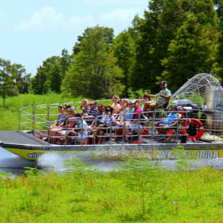 Wild Florida 30-minute Everglades Airboat Tour