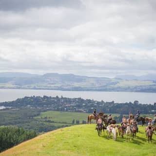 Guided Horse Trekking from Rotorua