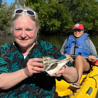 2 Hours Guided Robinson Preserve Mangrove Tour