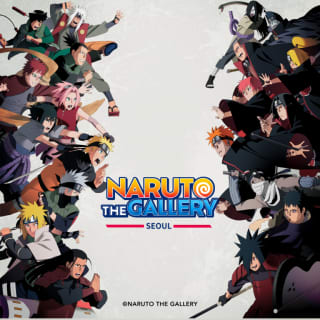 NARUTO THE GALLERY