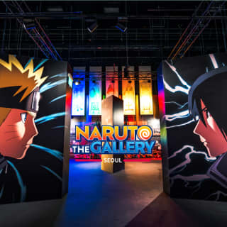 NARUTO THE GALLERY