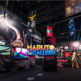 NARUTO THE GALLERY