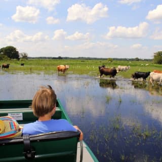 Wild Florida 30-minute Everglades Airboat Tour