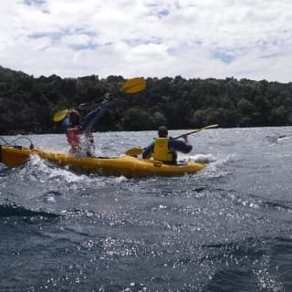 Half-Day Kayak to the Maori Rock Carvings in Lake Taupo