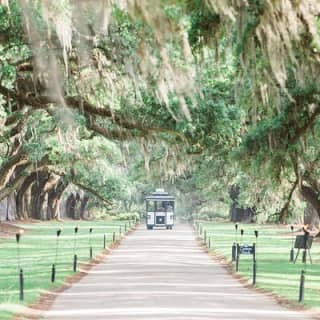 Boone Hall Plantation All-Access Admission Ticket