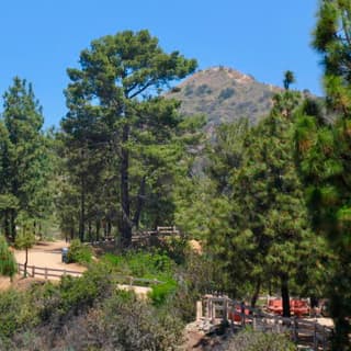 Mount Hollywood Hike