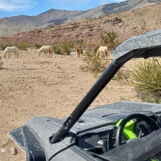 ATV Tours in Las Vegas