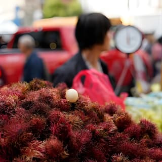 Chinatown Food Tour with a Chef in Manhattan