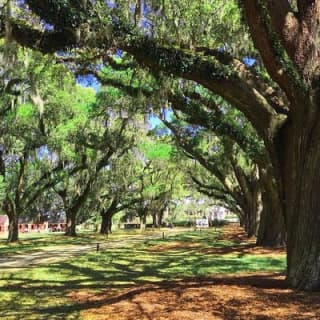 Boone Hall Plantation All-Access Admission Ticket