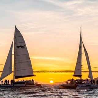 Bay Sunset Catamaran Cruise