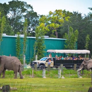 ZooTampa: Fast Track Admission