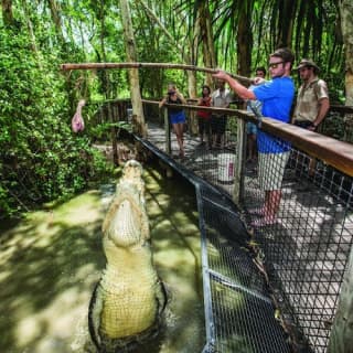 Hartley’s Crocodile Adventures