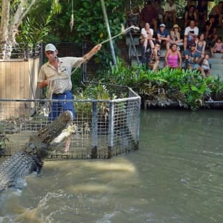 Hartley’s Crocodile Adventures