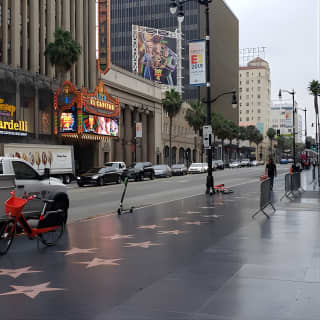 Celebrity and Lifestyle Hollywood Bus Tour