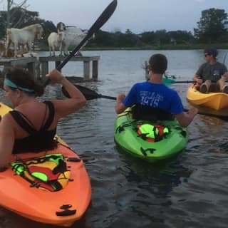 Guided Myrtle Beach Kayak