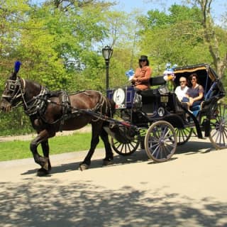 Official NYC Horse Carriage Rides in Central Park since 1979 ™